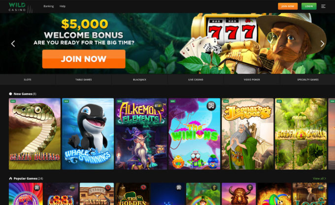 Wild Casino Screenshot Homepage