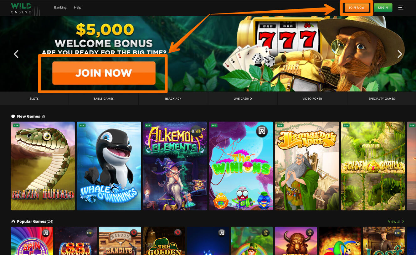 Wild Casino Screenshot Join Now Button Highlight