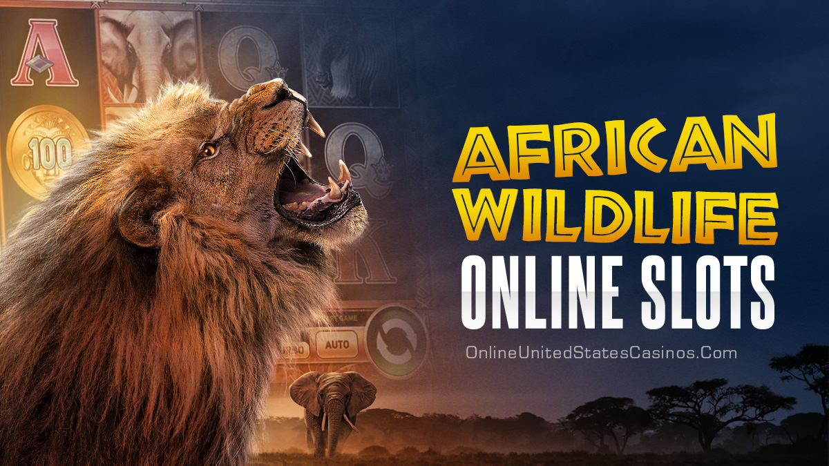 African Wildlife Online Slots Header