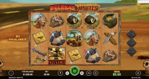 Meerkat Misfits Slot Game Board