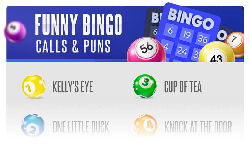 Funny Bingo Calls Sheet Printable Desktop