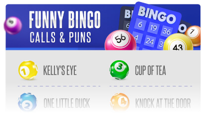 Funny Bingo Calls Sheet Printable Mobile