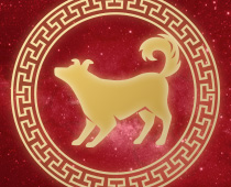 Chinese Horoscope Gambling Guide Dog