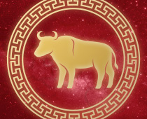 Chinese Horoscope Gambling Guide Ox