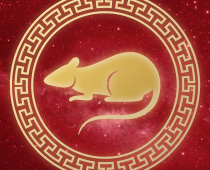Chinese Horoscope Gambling Guide Rat
