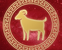 Chinese Horoscope Gambling Guide Sheep