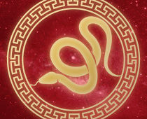 Chinese Horoscope Gambling Guide Snake