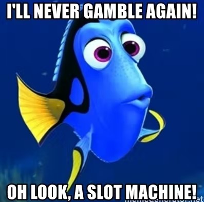 Dory casino gambling meme