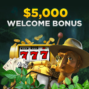 Wild Casino Welcome Bonus Promo Image