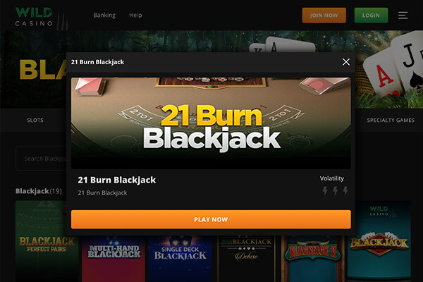 Wild Casino – 21 Burn Blackjack
