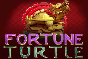 fortune turtle high volatility slot game