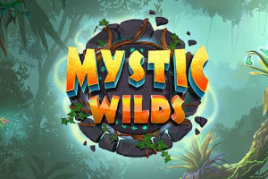 mystic wilds slot game