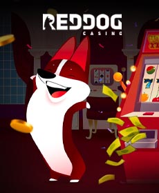 RedDog Casino Rewards Program