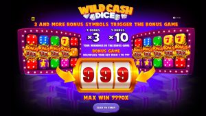 wild cash dice gameplay screenshot of the bonus round
