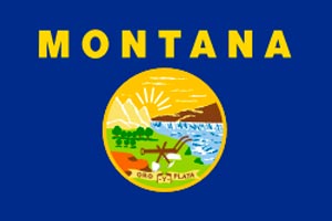 montana state flag