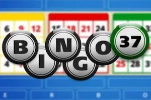 Bingo 37 Game Logo