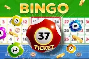 Bingo 37 Ticket Game